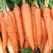 Carrot, Danver Half Long - 1/2oz