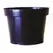 Belden 8.5" Azalea Black 100/cs