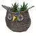 Gardener Select 10.5" Large Owl Rattan Rope Topiary 10/CS