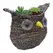 Gardener Select 9.5" Medium Owl Rattan Rope Topiary 12/CS