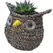 Gardener Select 7" Small Owl Rattan Rope Topiary 12/CS