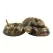 MCarr Western Diamond Back Small Snake