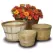 Grower Select Half Bushel Basket With 2 Loop Handle Brown 12/CS 27CS/PL