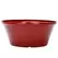 Gardener Select 12" Tulip Bowl Oxblood Planter 15/CS