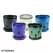 MCarr 12PC 5.5" Round Orchid Pot Mixed Asst