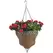 Gardener Select 14" Queen Isabella Parasol Hanging Basket Antique Green