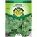 LETTUCE, BLK SEED SIMPSOM 3 G.