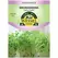 Microgreens, Daikon Radish - 4 Gram