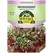 Microgreens, Ruby Red Swiss Chard - 3.5 Gram