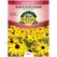 DAISY, RUDBECKIA HIRTA 280 MG