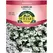 LOBELIA, WHITE LADY 175 MG