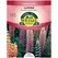 LUPINE, RUSSELL'S MIX 1.35 G