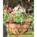 Panacea 14" Cameo Series Hanging Basket