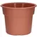 DLN 12.00 COLOR POT 2 TL CL 40/CS 32CS/PL