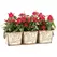 Deer Park 3 Pot Venetian Planter