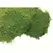 SuperMoss 1560cu in Bulk Sheet Moss Fresh Green (Covers 16-18sq ft)