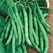 Beans, Burpee Stringless - 1lb