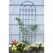 Panacea 72" Classic Trellis Black 4/CS