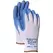 BGC Premium Latex Glove Large Blue