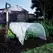 Bosmere Poly Tunnel