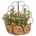 Deer Park Peacock Wall Basket With Coco Liner