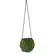 SSI 4" Kokedama Green Moss