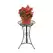 Deer Park Sunburst Round Plant Stand Black