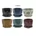 MCarr 12PC 5.3" Hexagon Orchid Pot Mixed Asst