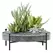 Panacea 16" Succulent Planter Tray Galvanized