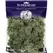SuperMoss 4oz Reindeer Moss Green
