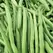 BEANS, BLK PROVIDER 1 LB TREAT EACH