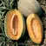 Cantaloupe , Hales Best Jumbo - 1/2lb