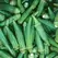 Okra, Clemson Spineless - 4oz