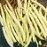 Beans, Pencil Pod Black Wax - 1lb
