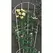 Panacea 28"x60" White Fan Trellis