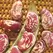 Limas, Giant Calico Pole - 1/2lb