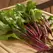 Beets, Bull'S Blood - 1/2lb