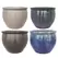 MCarr 32pc Delta Planter Pallet Mixed Colors
