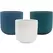 MCarr 8pc 7.2" Scraped Planter Set Asst Colors