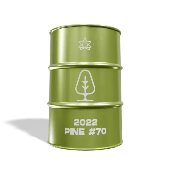 2022 Pine - 70