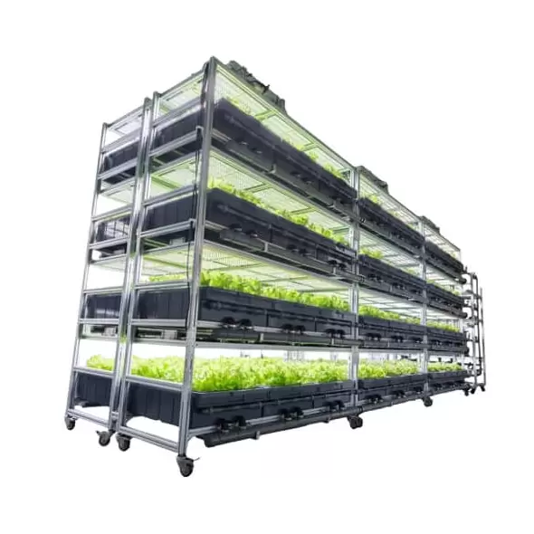 AEtrium-2.1 Vertical Cloning