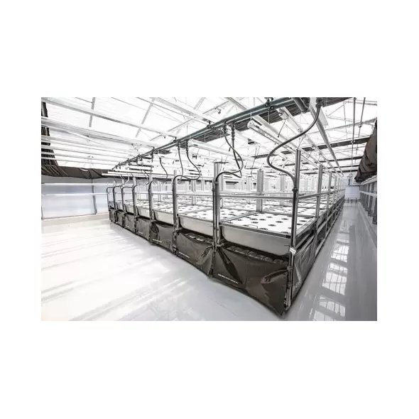 AEtrium-4 Aeroponic Blooming
