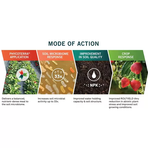 Organic Soil Microbial Food - PhycoTerra®