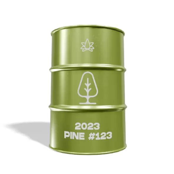 2023 Pine - 123