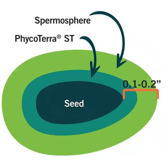 Seed Treatment - PhycoTerra®