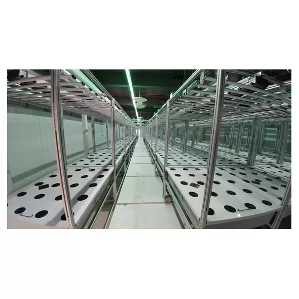 AEtrium-4 Aeroponic Blooming