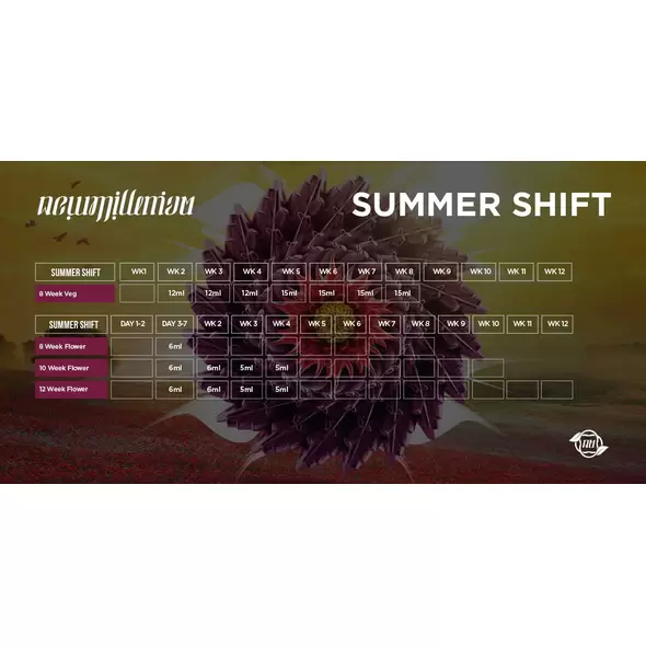 Summer Shift