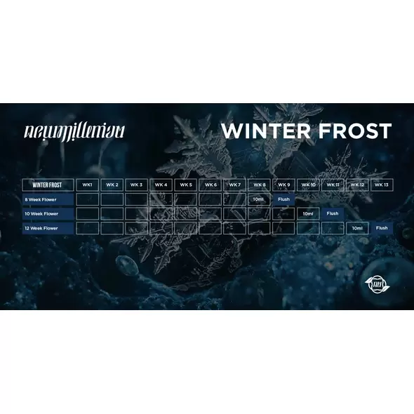 Winter Frost