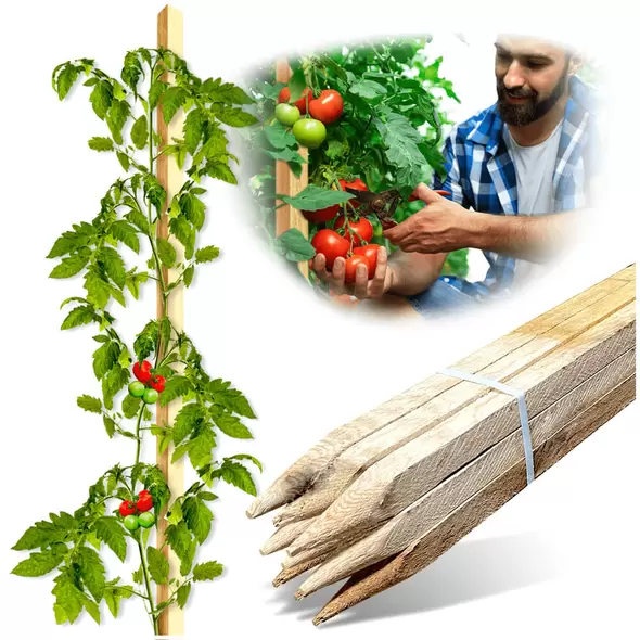 Edrich Lumber Tomato - Reforestation Stakes Pack Of 25