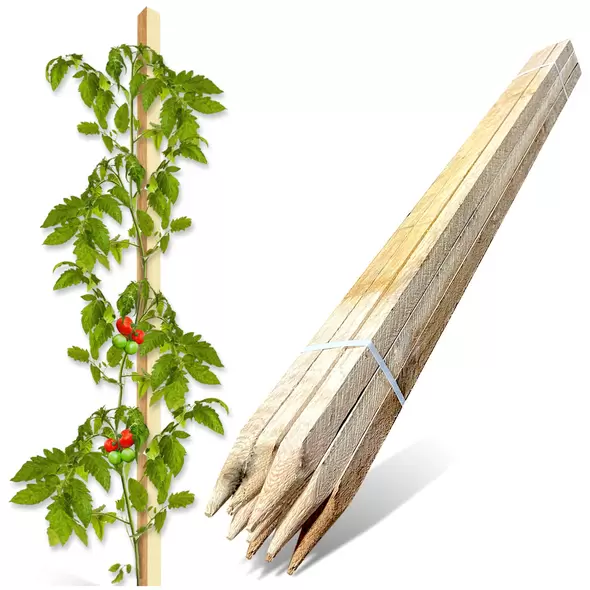 Edrich Lumber Tomato - Reforestation Stakes Pack Of 25